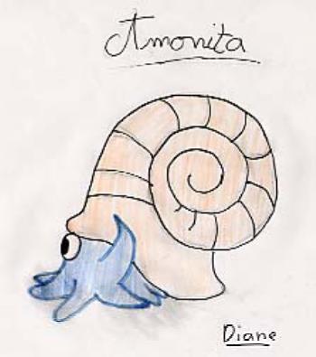 Amonita-138