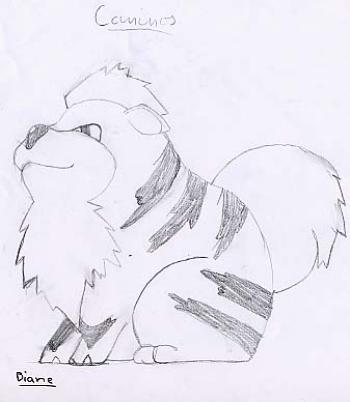 Caninos-058