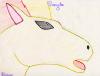 Ponyta-077